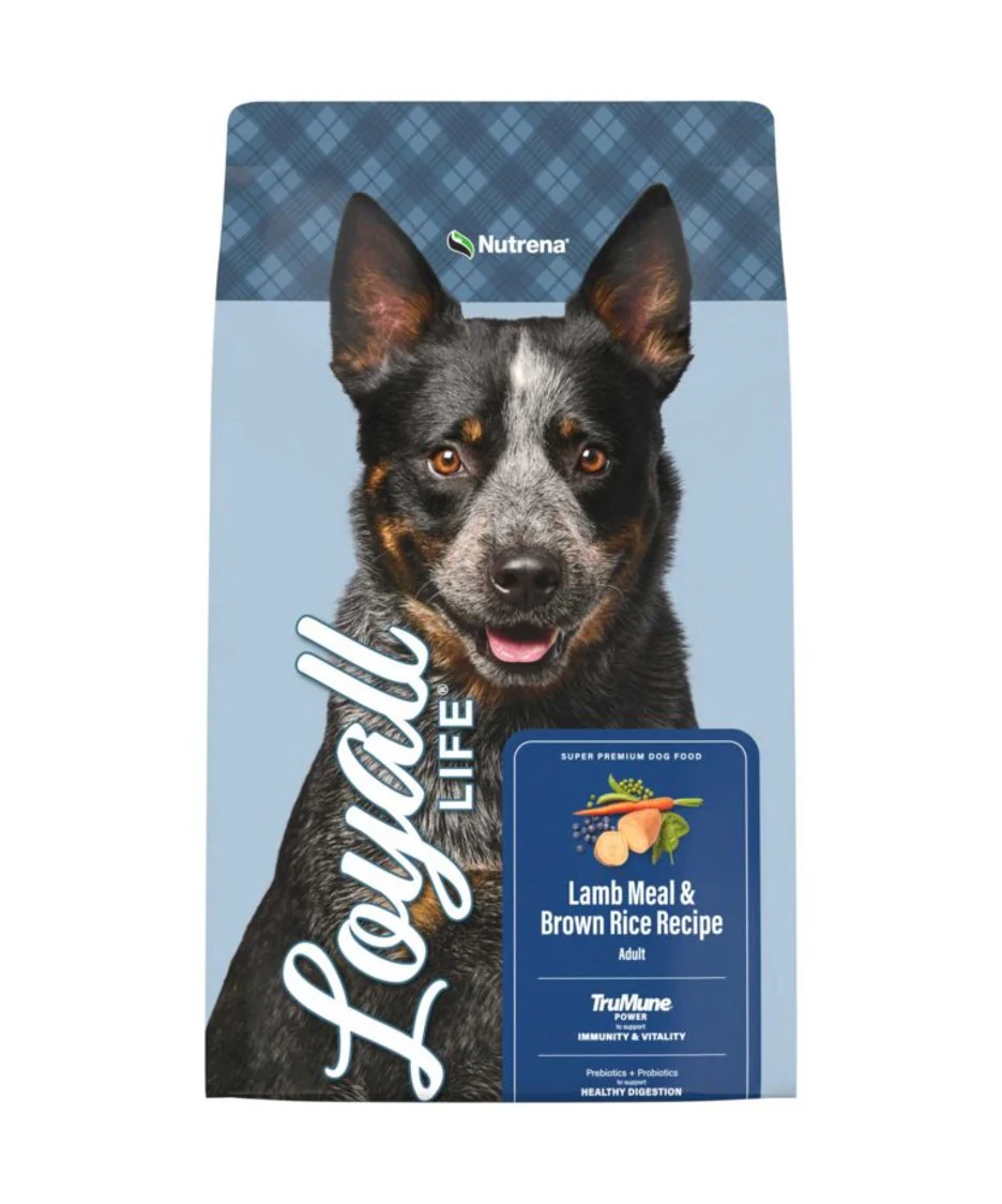 Loyall Life Adult Lamb & Brown Rice Dry Dog Food