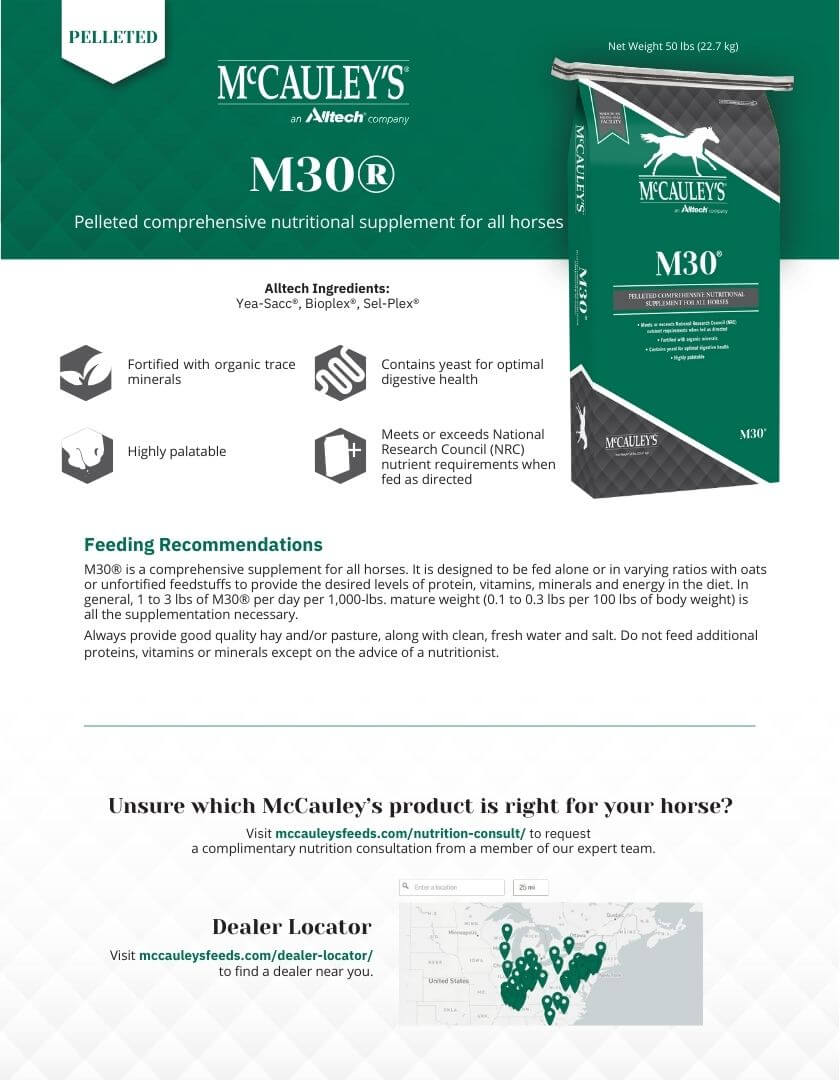 McCauley's M30 Horse Supplement - Image 2