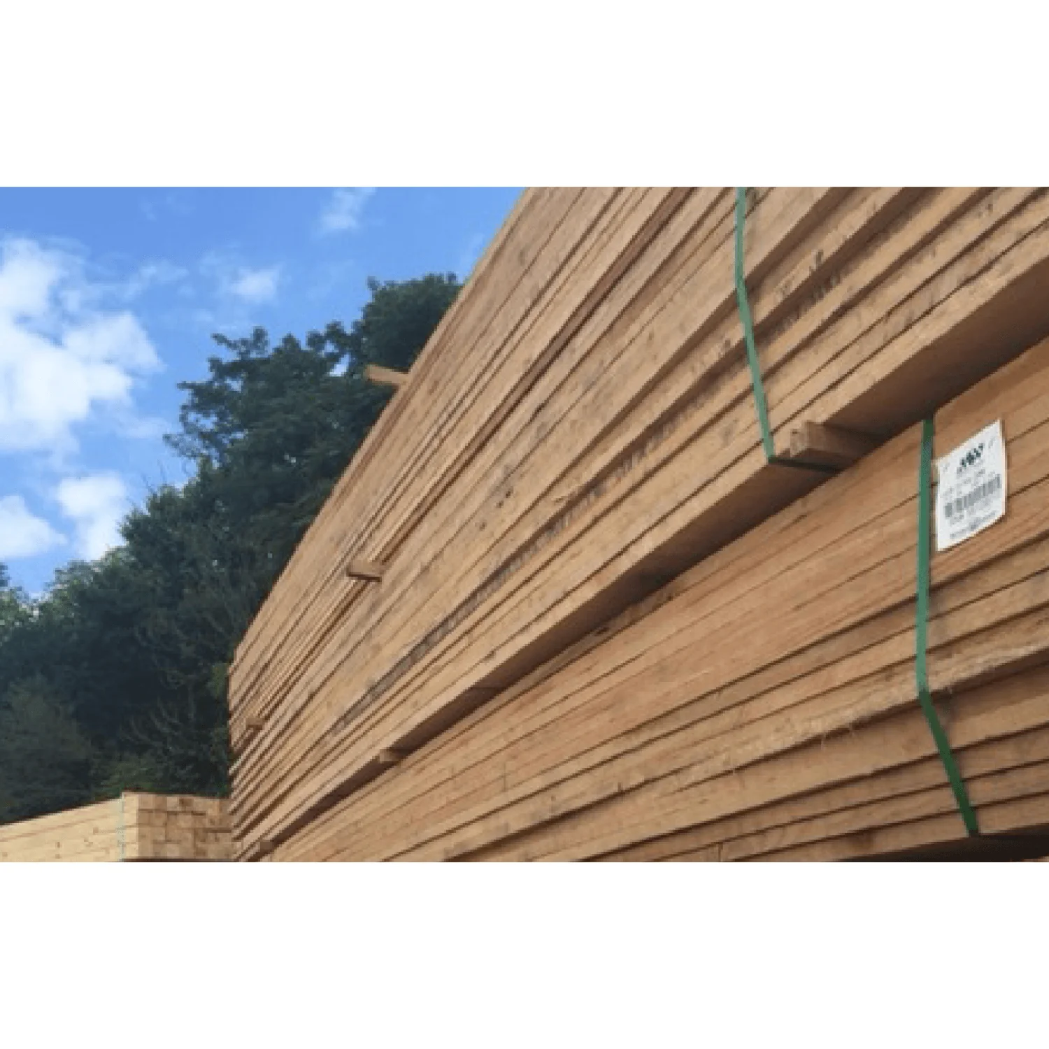 Madison Wood® 5/4" x 6" x 16' Pressure-Treated Pine Board - Image 3
