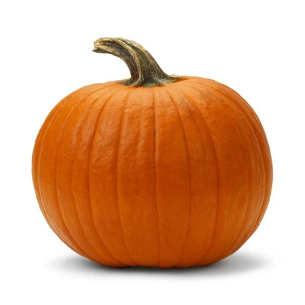 Magic Lantern Pumpkin Vegetable Seed