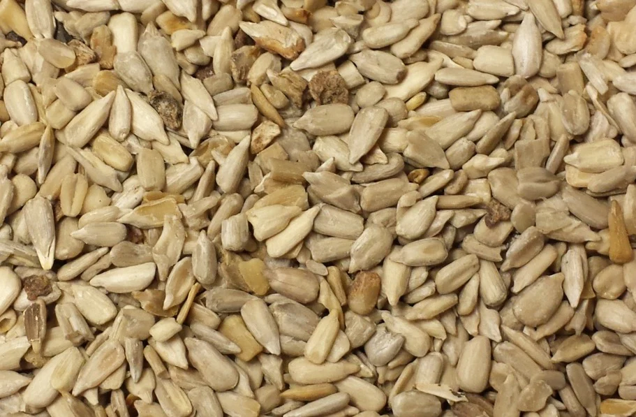 The Mill Medium Sunflower Chips Wild Bird Seed