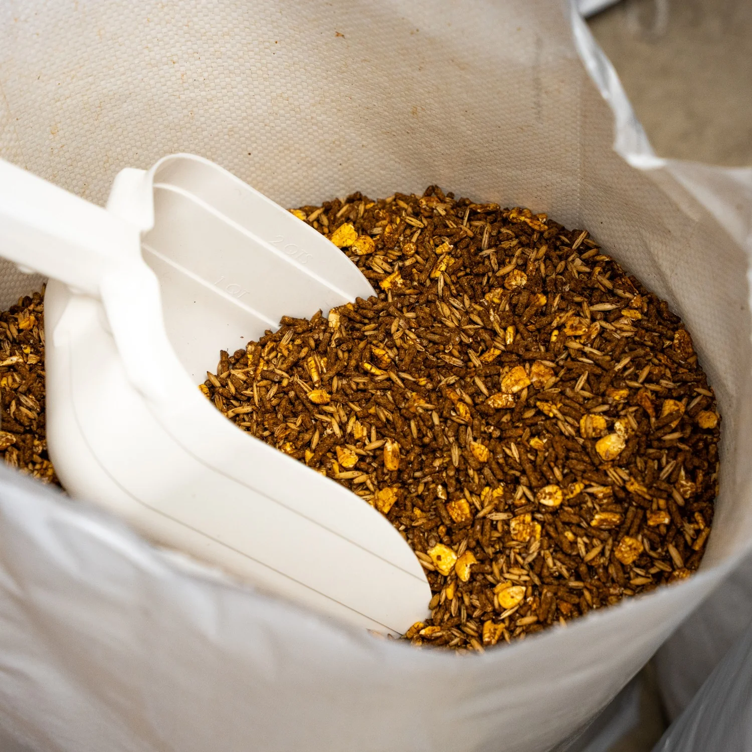 The Mill Beef 14% Show Cattle Feed, 50 lb - Image 2