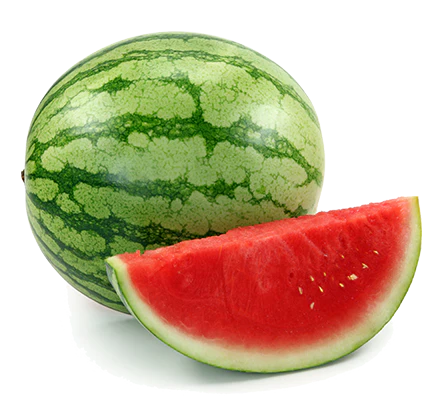 Millionaire Seedless Watermelon Vegetable Seed