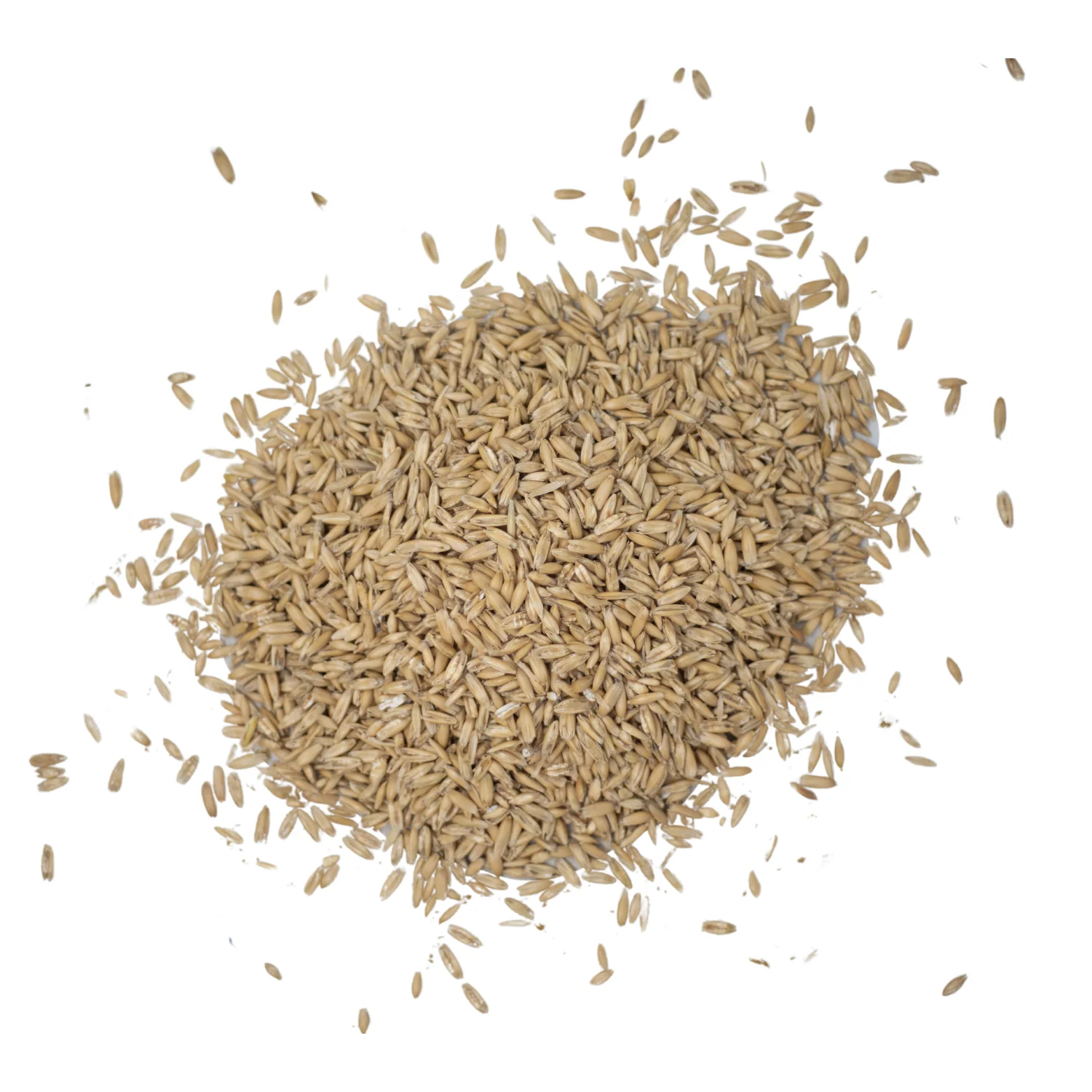 Triple Crown Steam Crimped Oats Naturals Horse Feed - Image 2