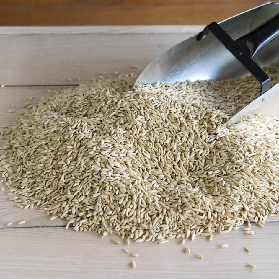 Triple Crown Steam Crimped Oats Naturals Horse Feed - Image 4