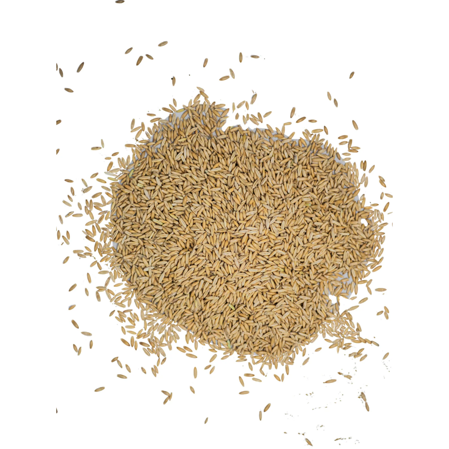 Triple Crown Whole Oats Naturals Horse Feed - Image 2