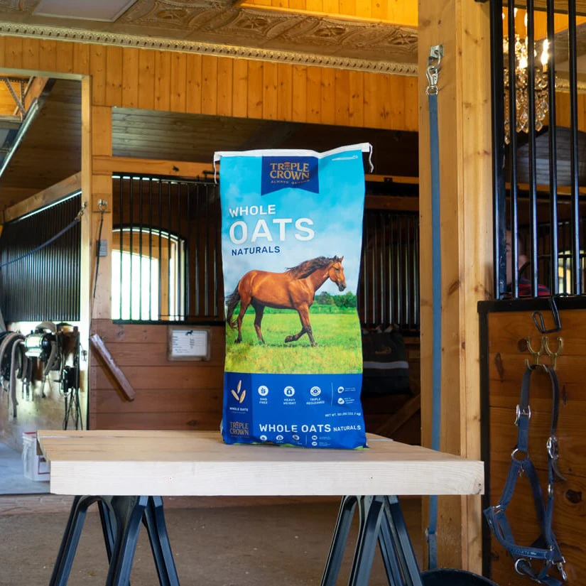 Triple Crown Whole Oats Naturals Horse Feed - Image 3