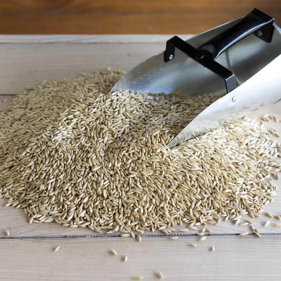 Triple Crown Whole Oats Naturals Horse Feed - Image 4