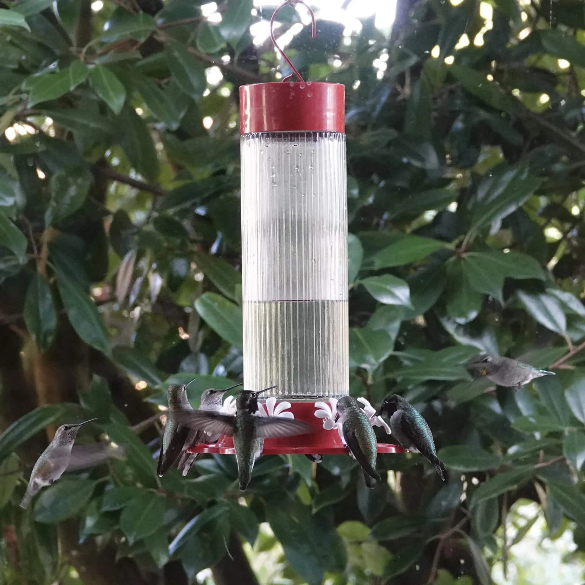 Nature’s Way® Ribbed Rose Glass Gravity Hummingbird Feeder - Image 5