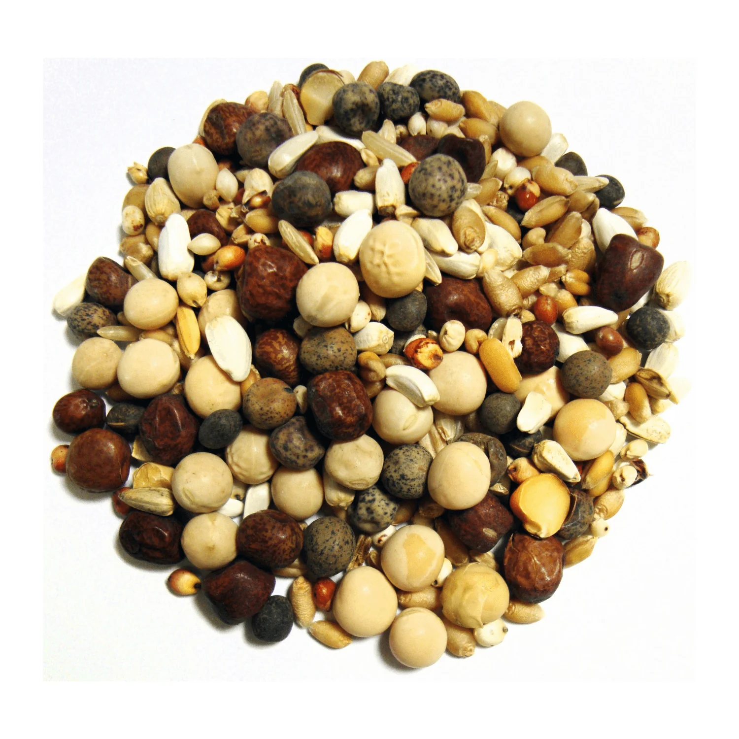 No Corn Pigeon Mix – Breeding Feed