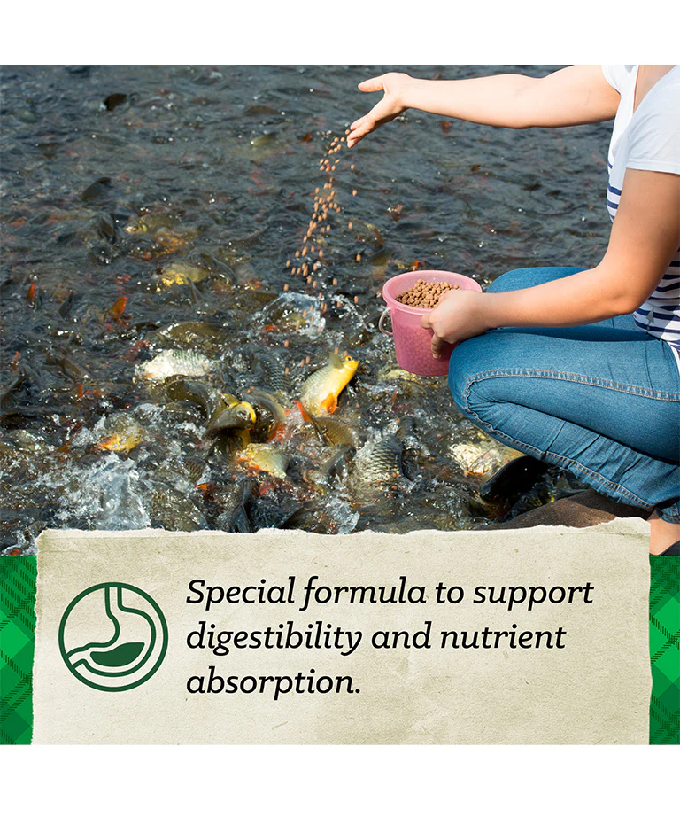 Nutrena Nature's Canvas Floating Pond & Catfish Food - Image 6