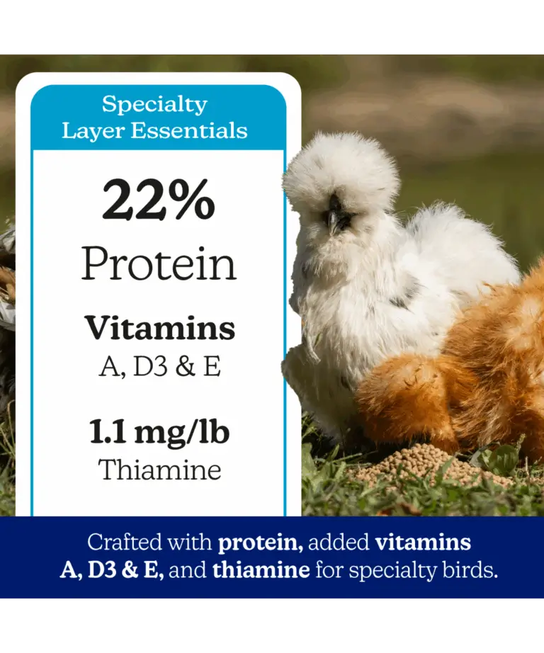 Nutrena NatureWise Silkie & Ornamental Layer Feed, 30 lb - Image 3