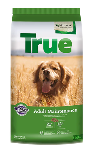 Nutrena True Adult Maintenance 21/12 Dog Food
