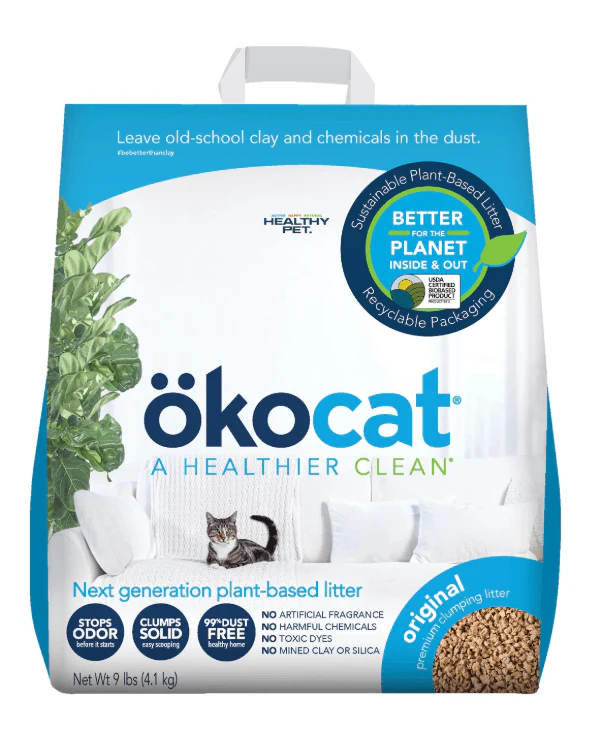 Cat on sale