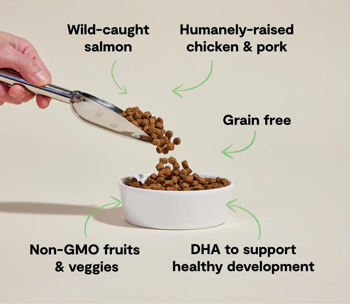 Open Farm Chicken & Salmon Grain-Free Puppy Kibble - Image 3