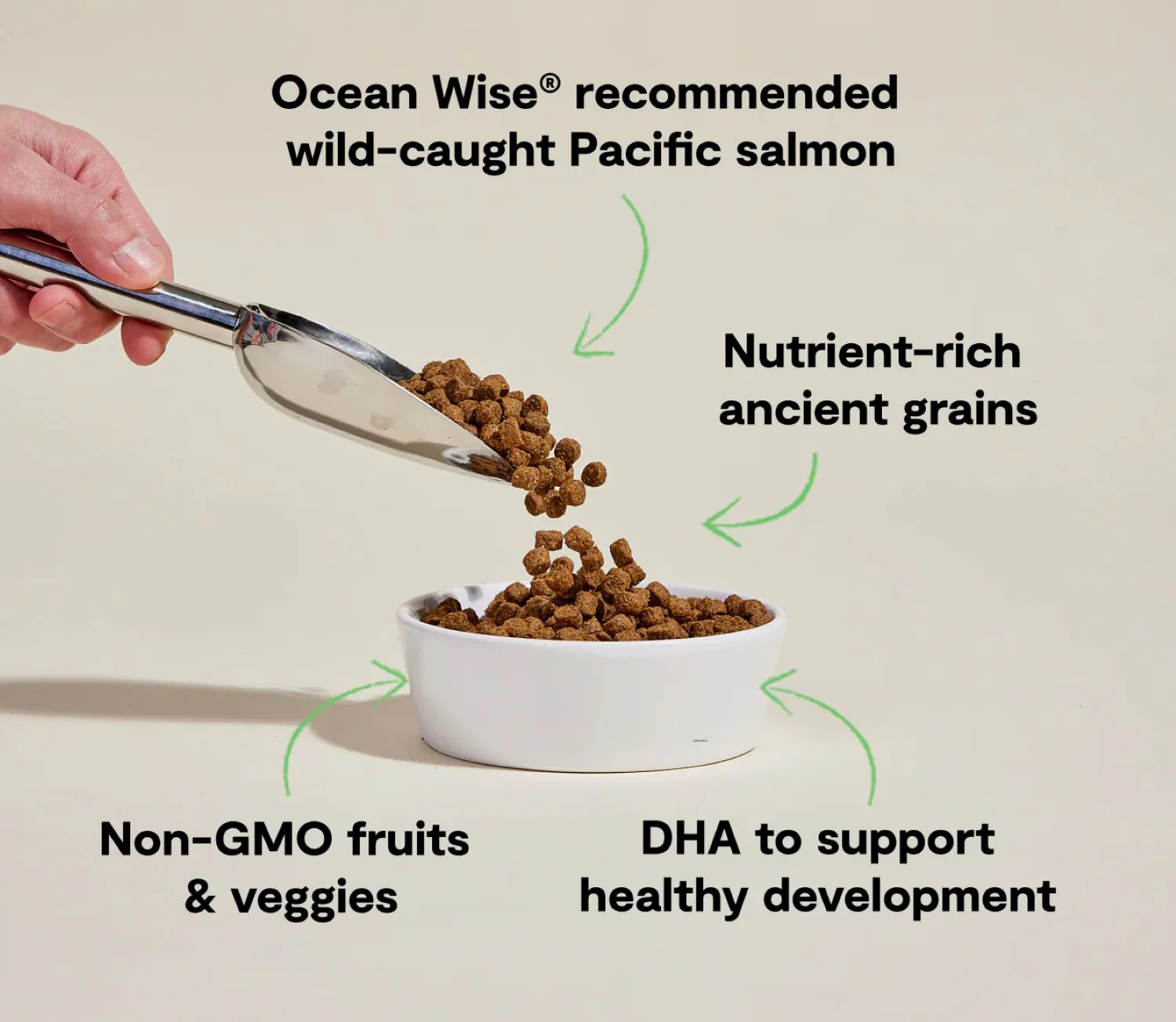 Open Farm Salmon & Ancient Grains Puppy Food 22lb. - Image 3