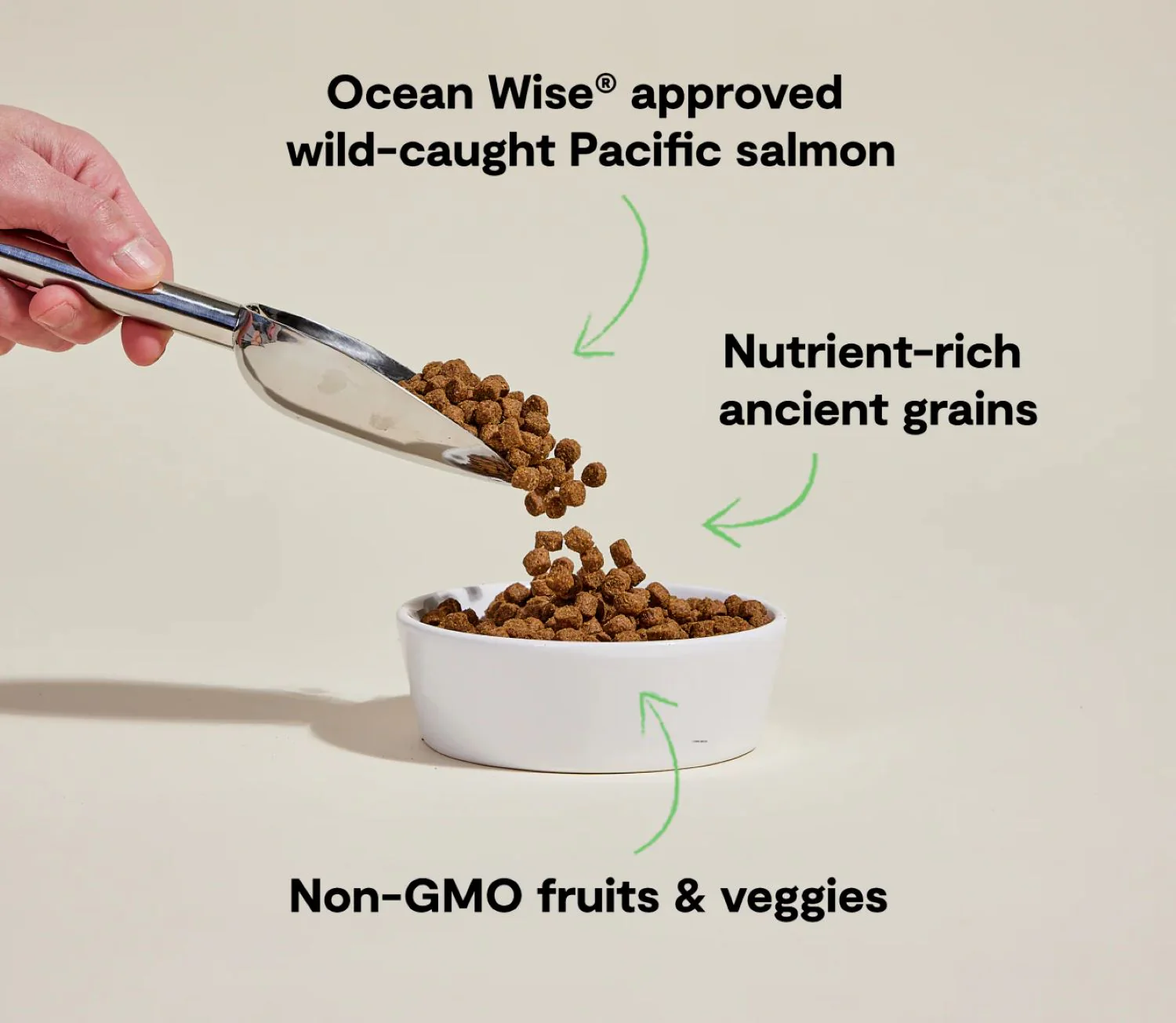 Open Farm Wild-Caught Salmon & Ancient Grains Dog Food 22lb. - Image 3