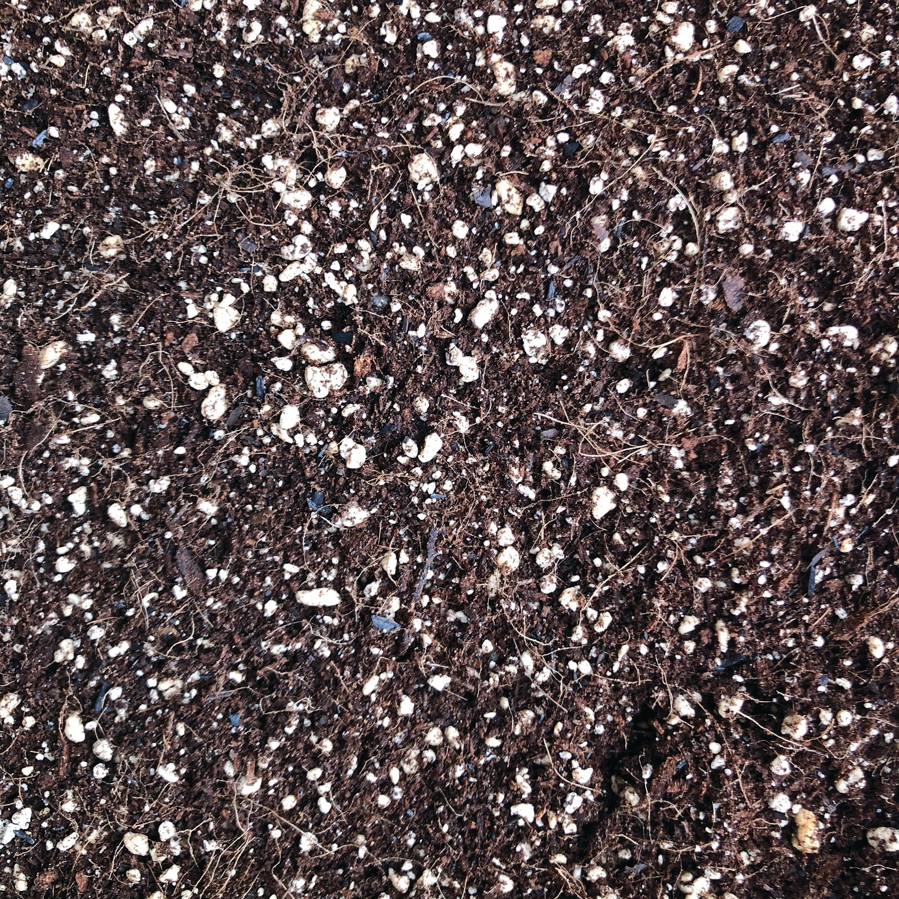 Organic Mechanics® 110 Blend Potting Soil - Image 3