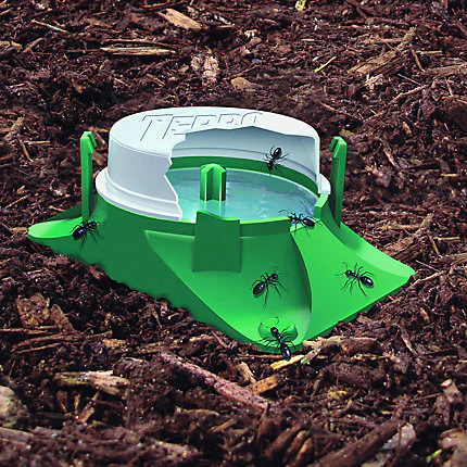 Outdoor Liquid Ant Baits - Image 2