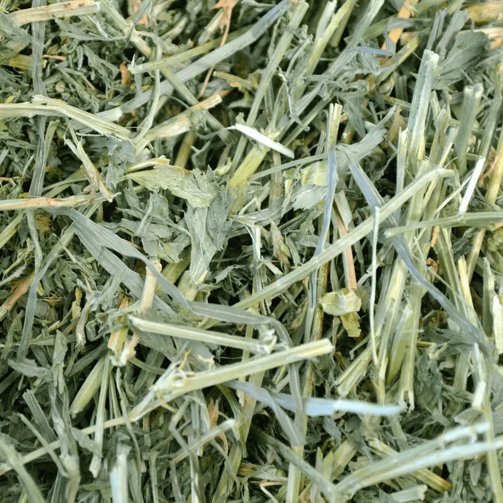 Oxbow Alfalfa Hay Small Pet Food - Image 3