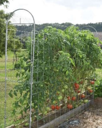 Garden Trellis Panel Kit - Image 2
