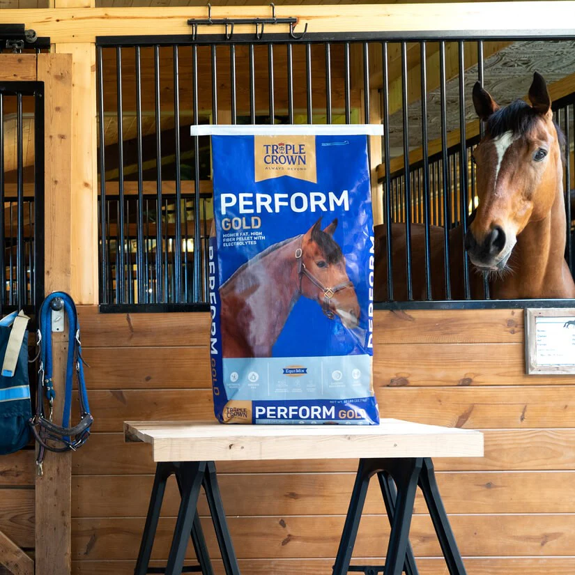 Triple Crown Perform Gold Horse Feed - Image 3
