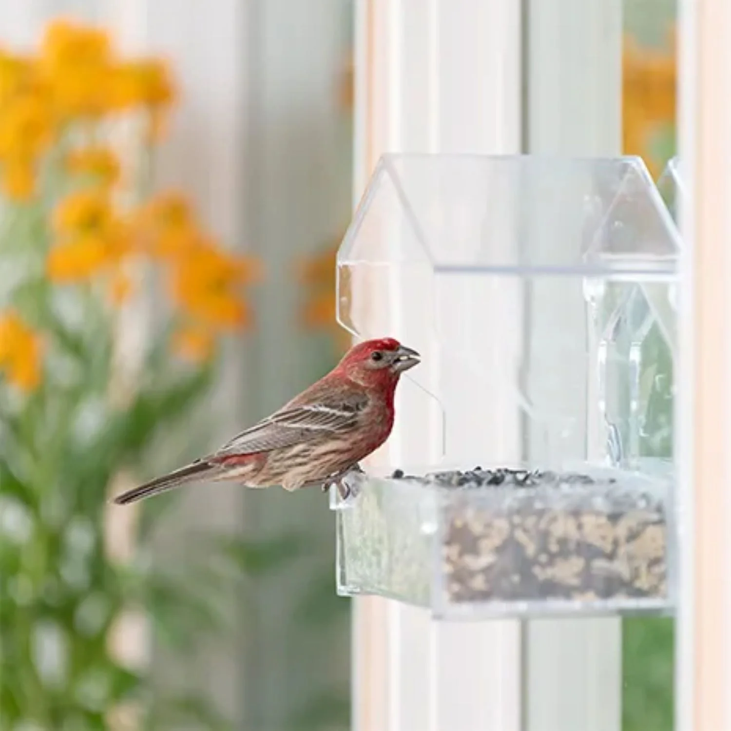 Perky Pet Window Bird Feeder - Image 2