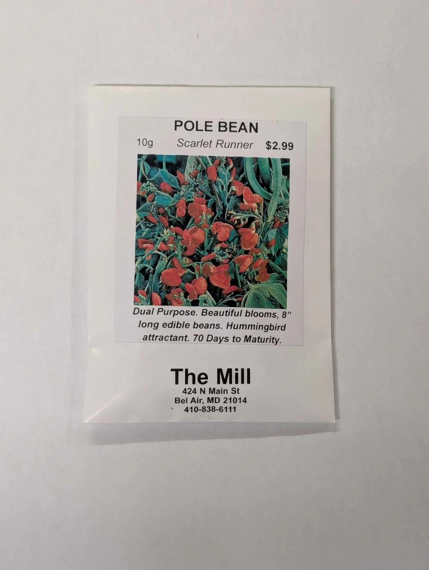 Pole Bean Scarlet Runner Seeds