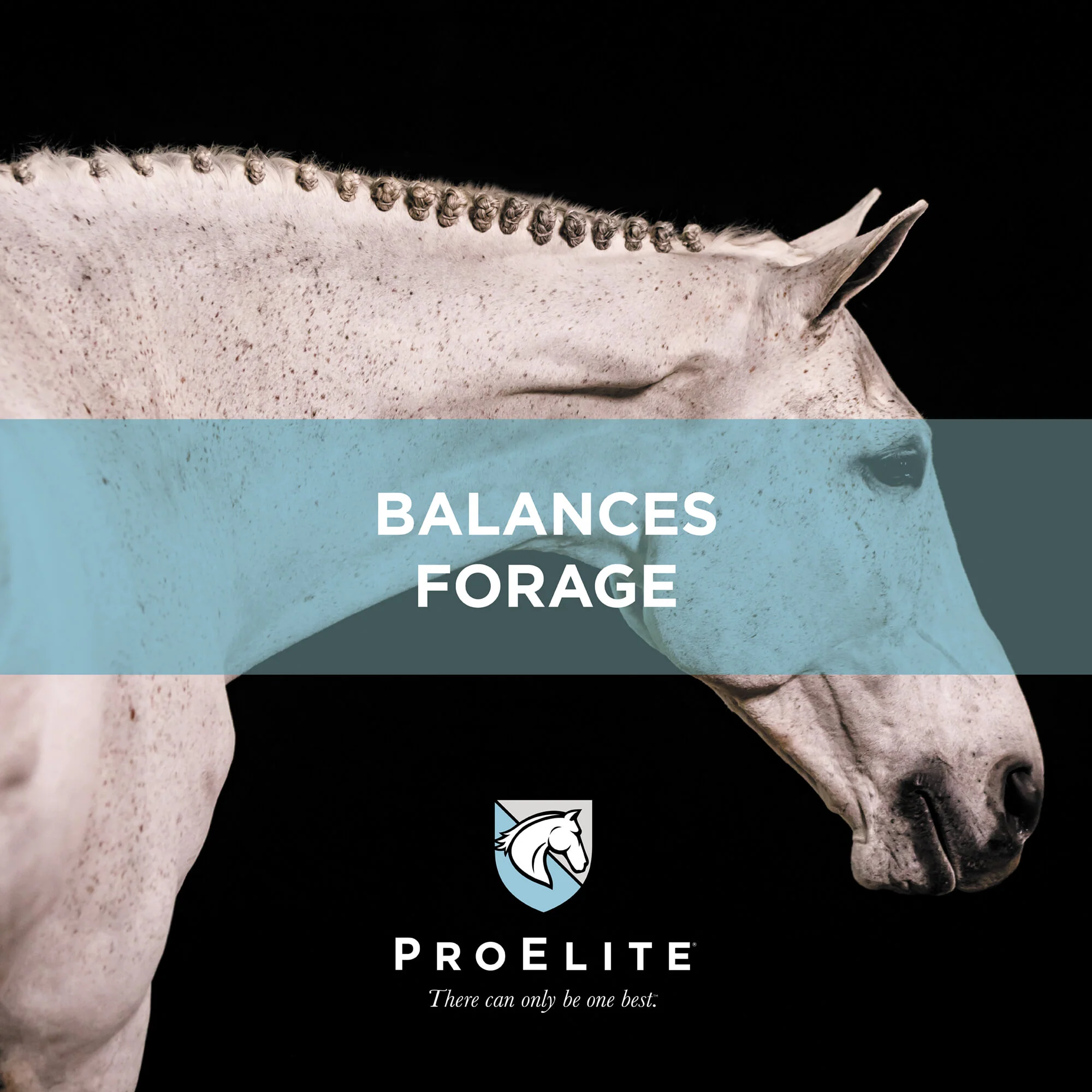 ProElite Grass Advantage Horse Feed - Image 6