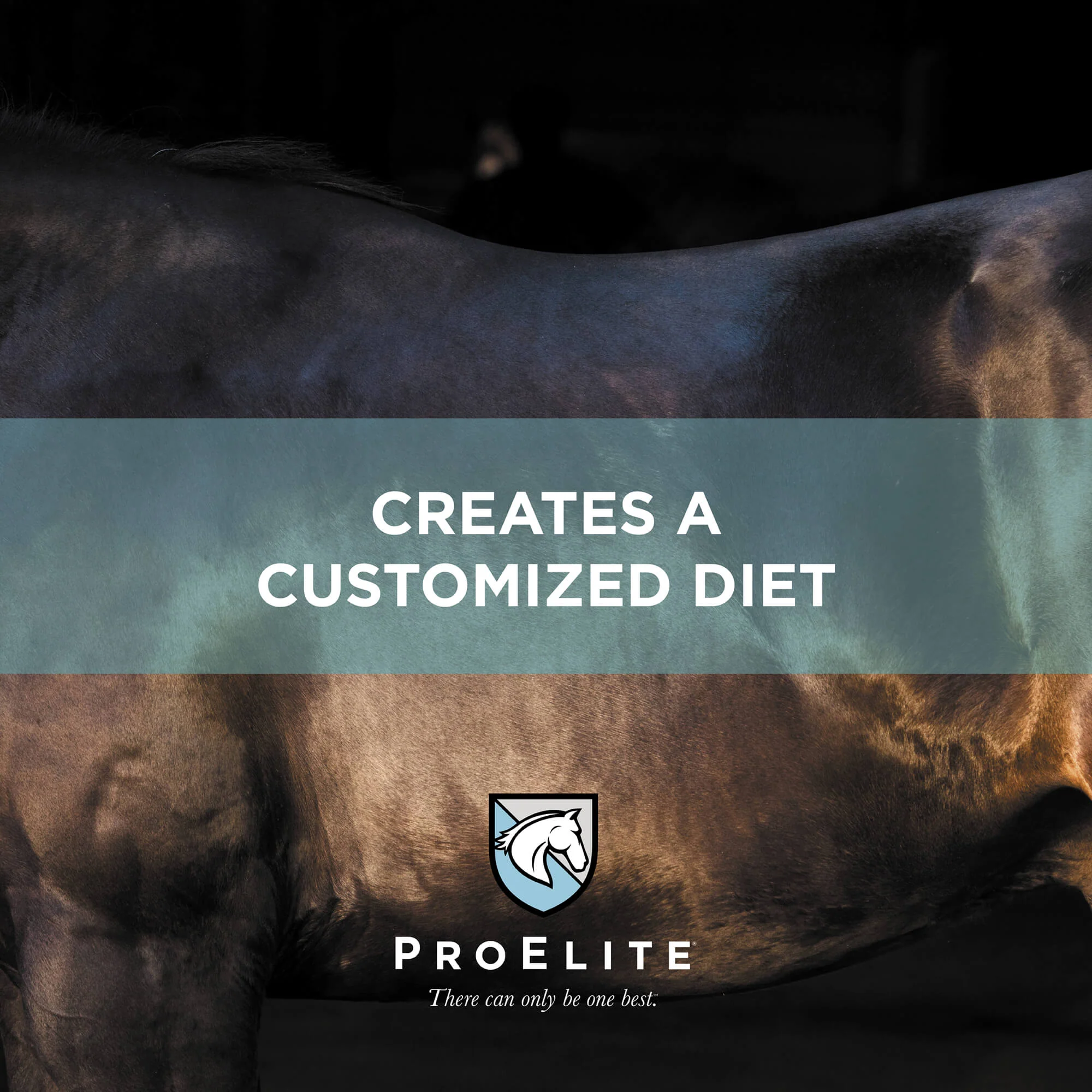 ProElite Grass Advantage Horse Feed - Image 7