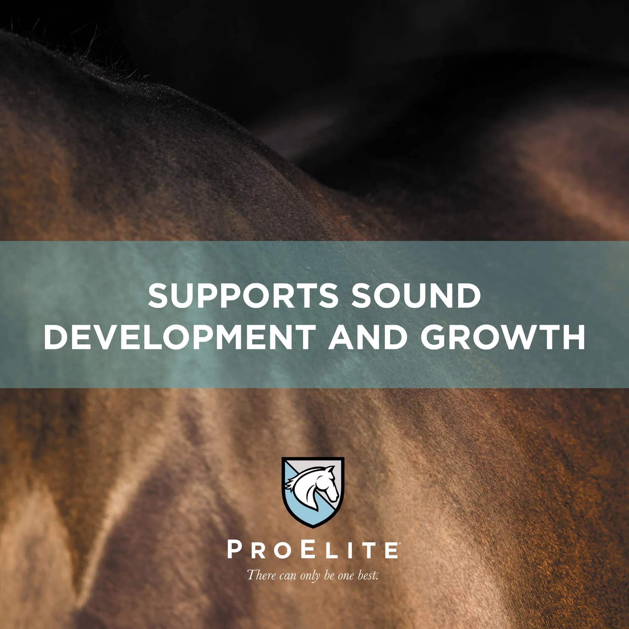ProElite Growth Horse Feed - Image 5