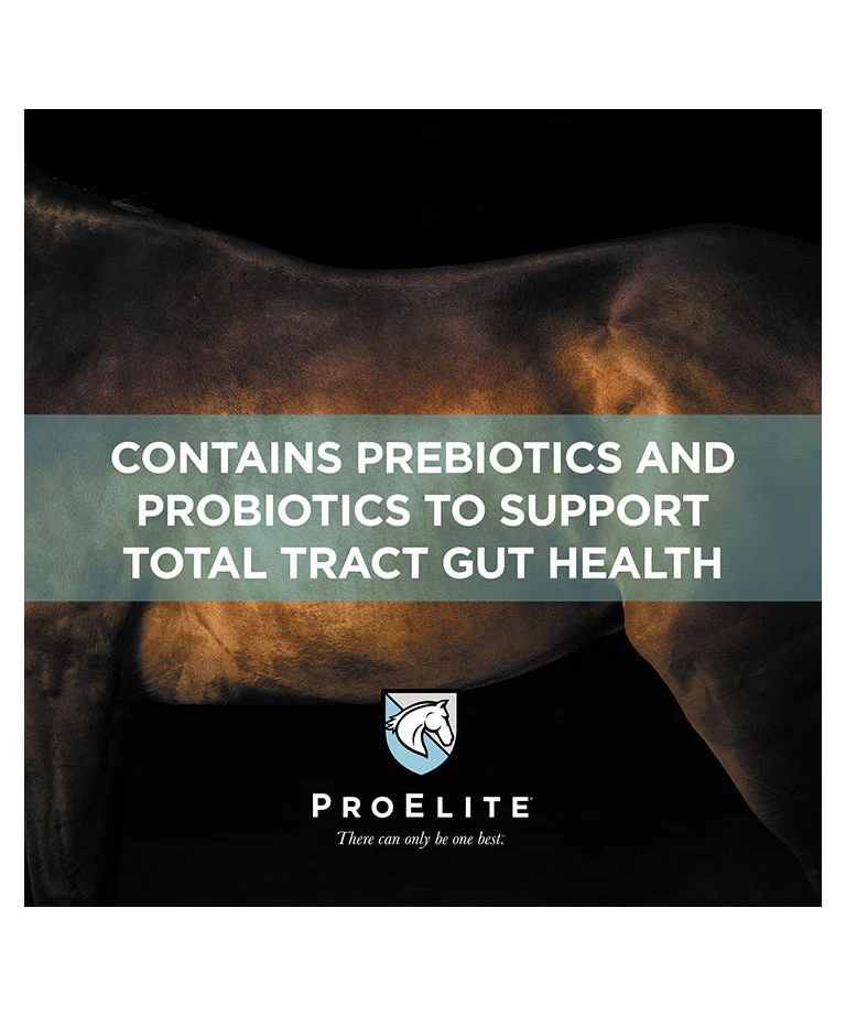 ProElite GutBiome Supplement for Horses - Image 4