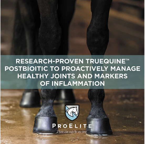 ProElite Joint Supplement for Horses - Image 4