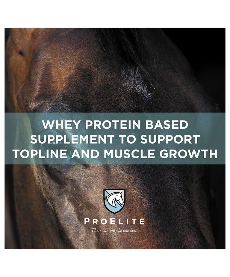 ProElite Top-Line Xtreme Supplement for Horses - Image 4