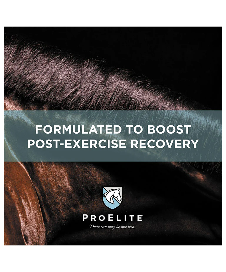ProElite Top-Line Xtreme Supplement for Horses - Image 5