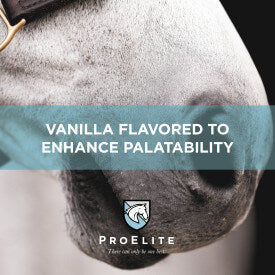 ProElite Top-Line Xtreme Supplement for Horses - Image 7