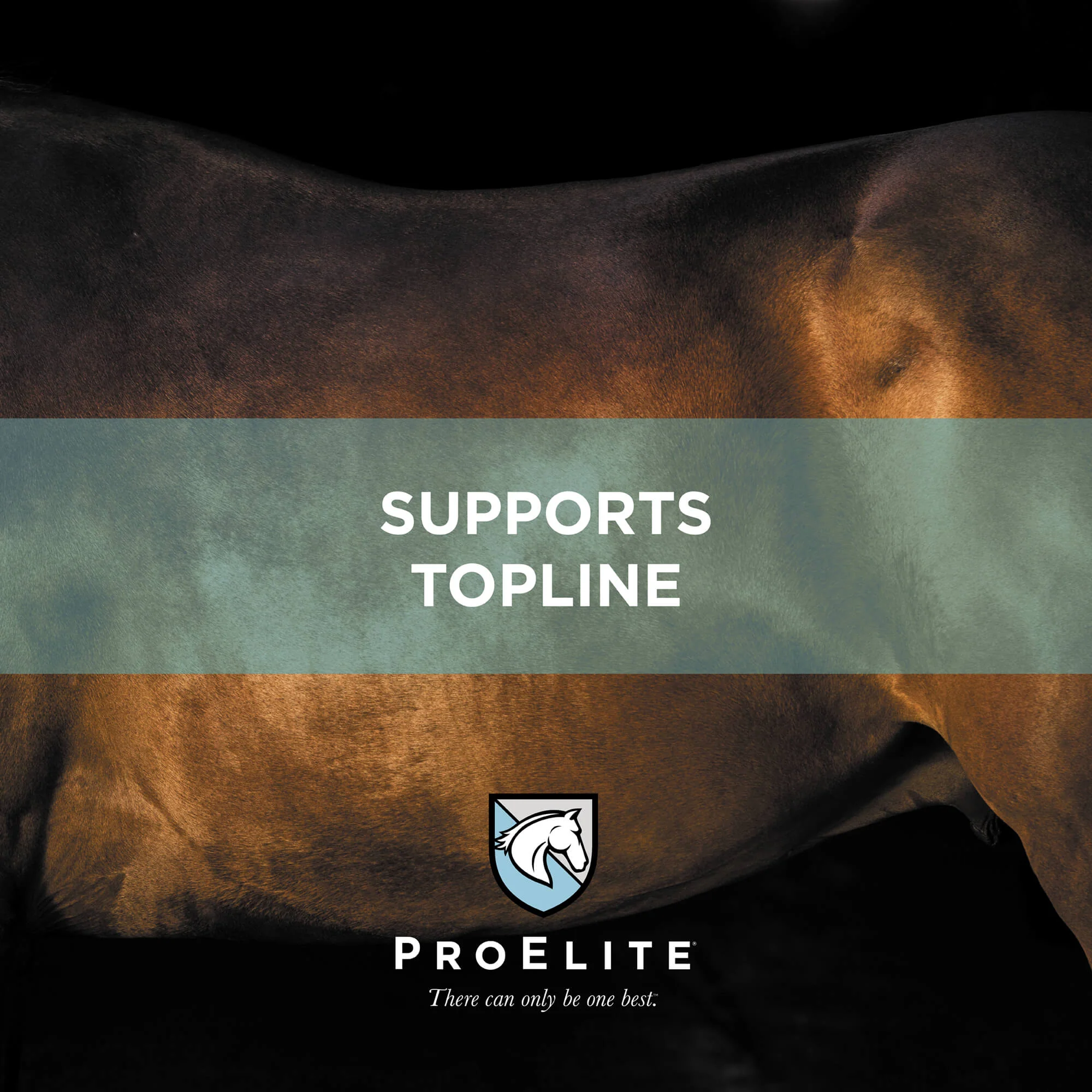 ProElite Topline Advantage Supplement - Image 4