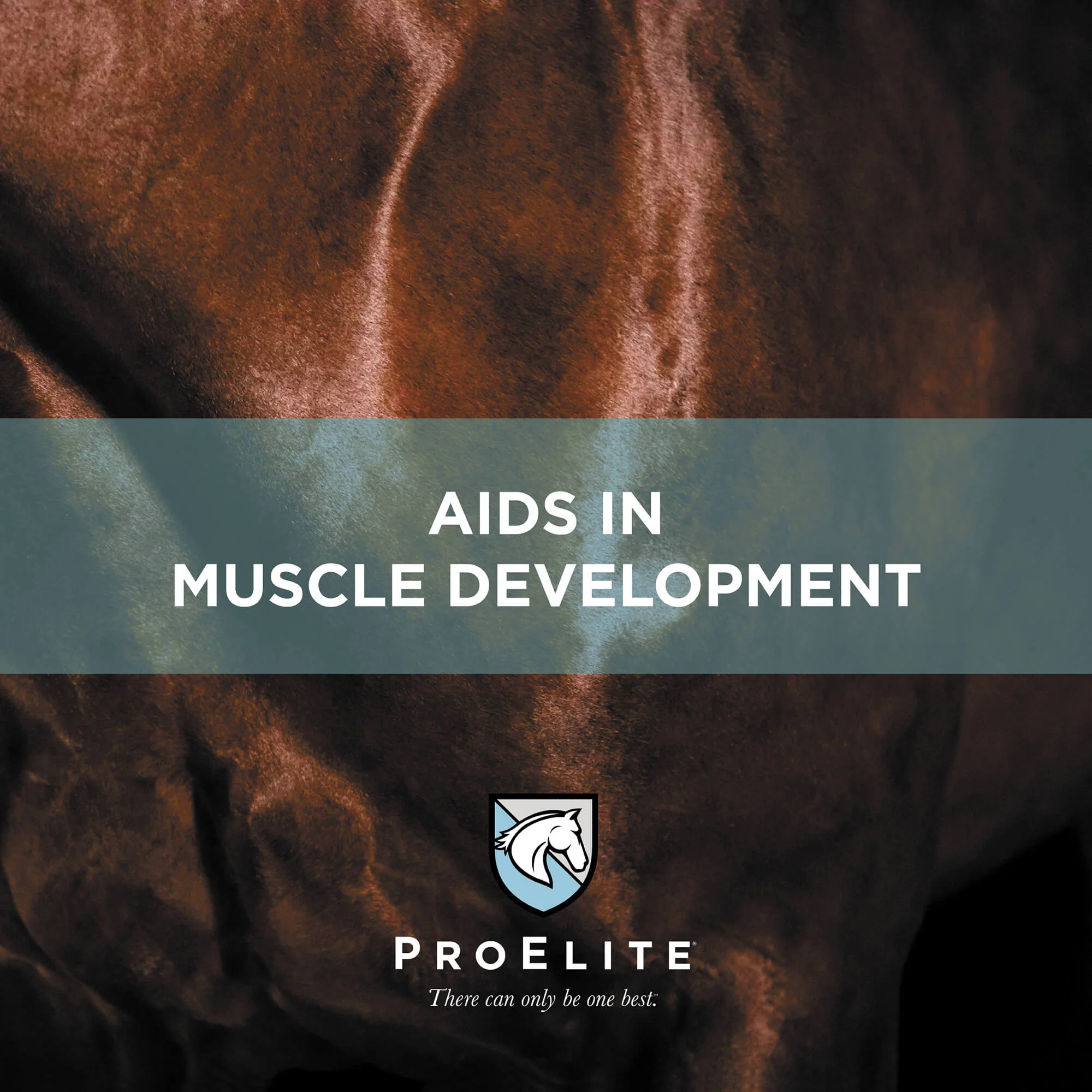 ProElite Topline Advantage Supplement - Image 5