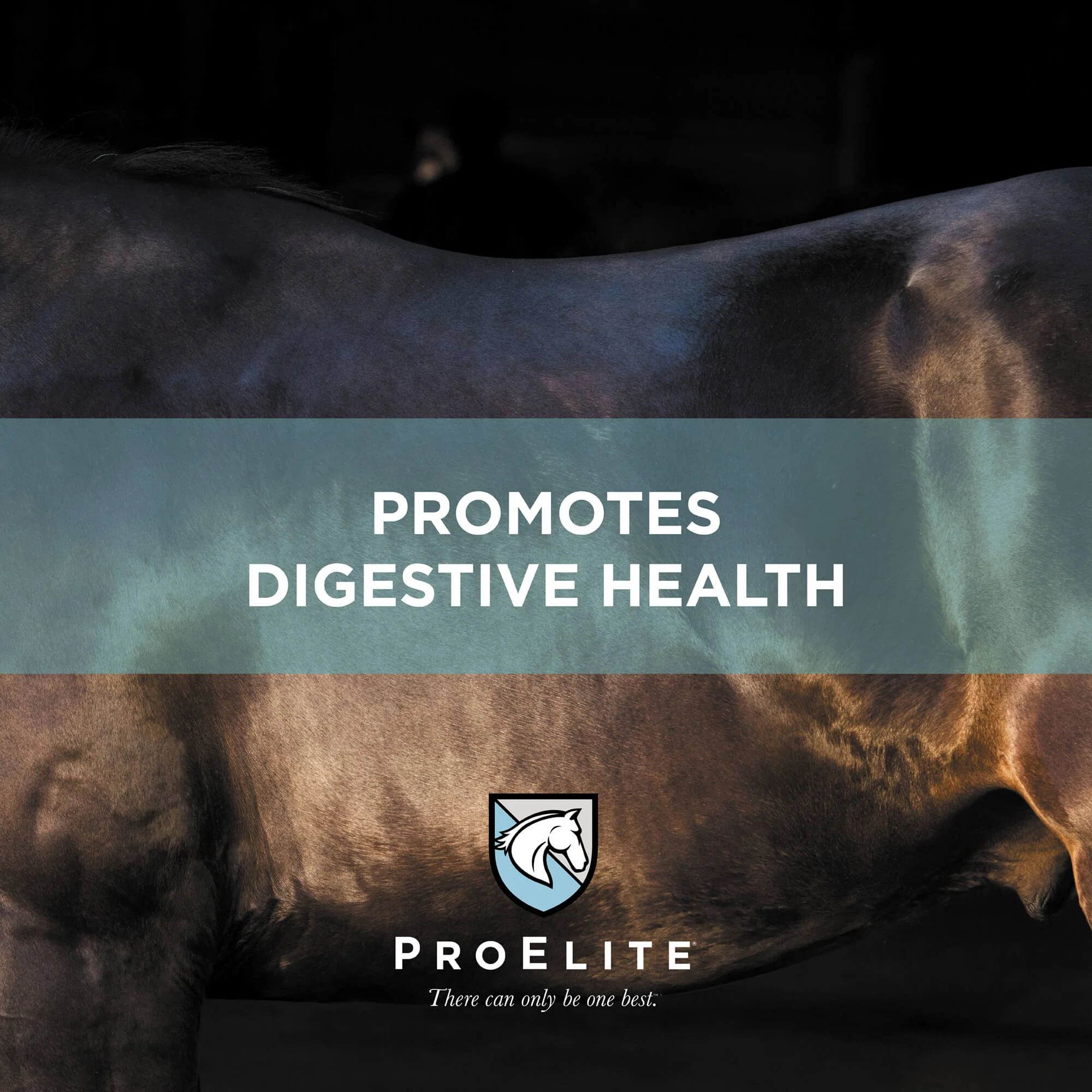 ProElite Topline Advantage Supplement - Image 6
