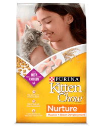 Purina Kitten Chow Dry Cat Food