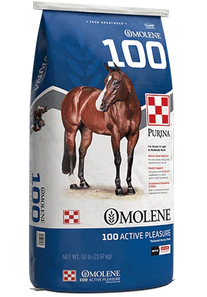 Purina Omolene 100 Active Pleasure Horse Feed