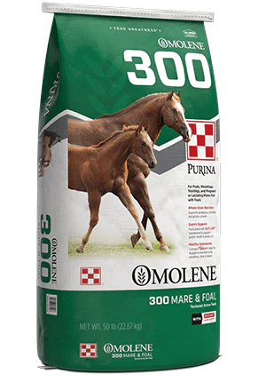 Purina Omolene 300 Growth Horse Feed