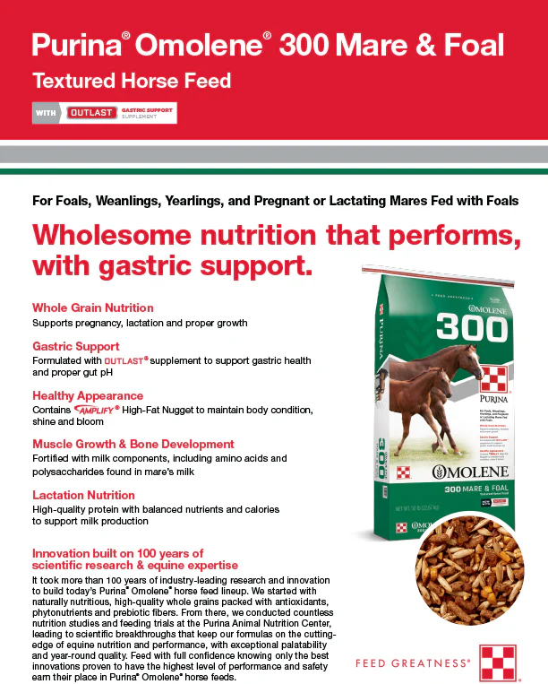 Purina Omolene 300 Growth Horse Feed - Image 4