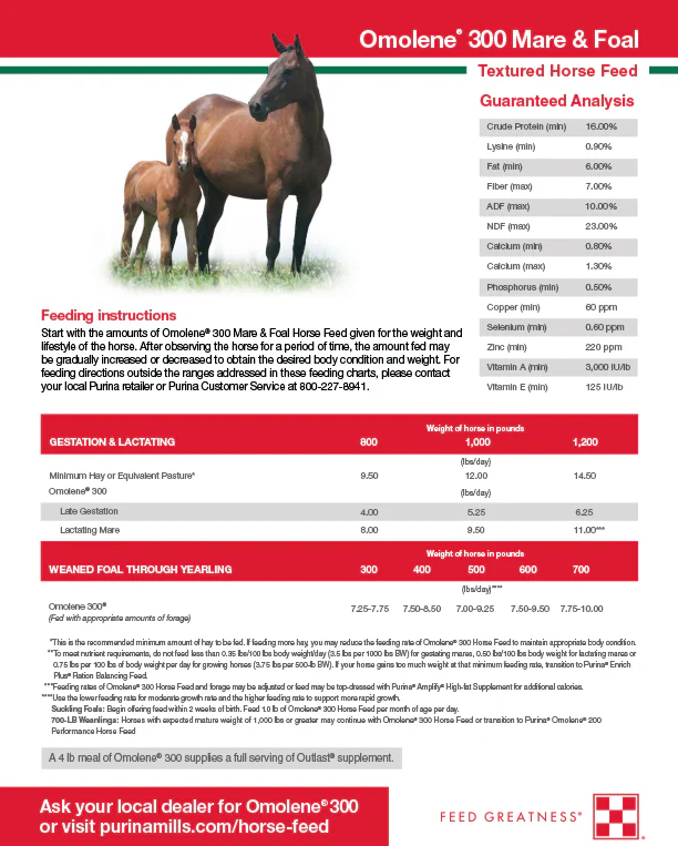 Purina Omolene 300 Growth Horse Feed - Image 5