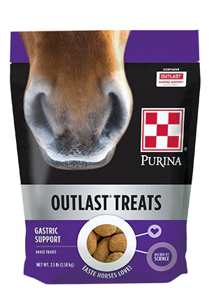 Purina Outlast Horse Treats