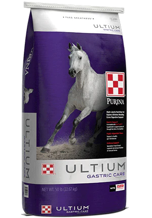 Purina Ultium Gastric Care Horse Feed