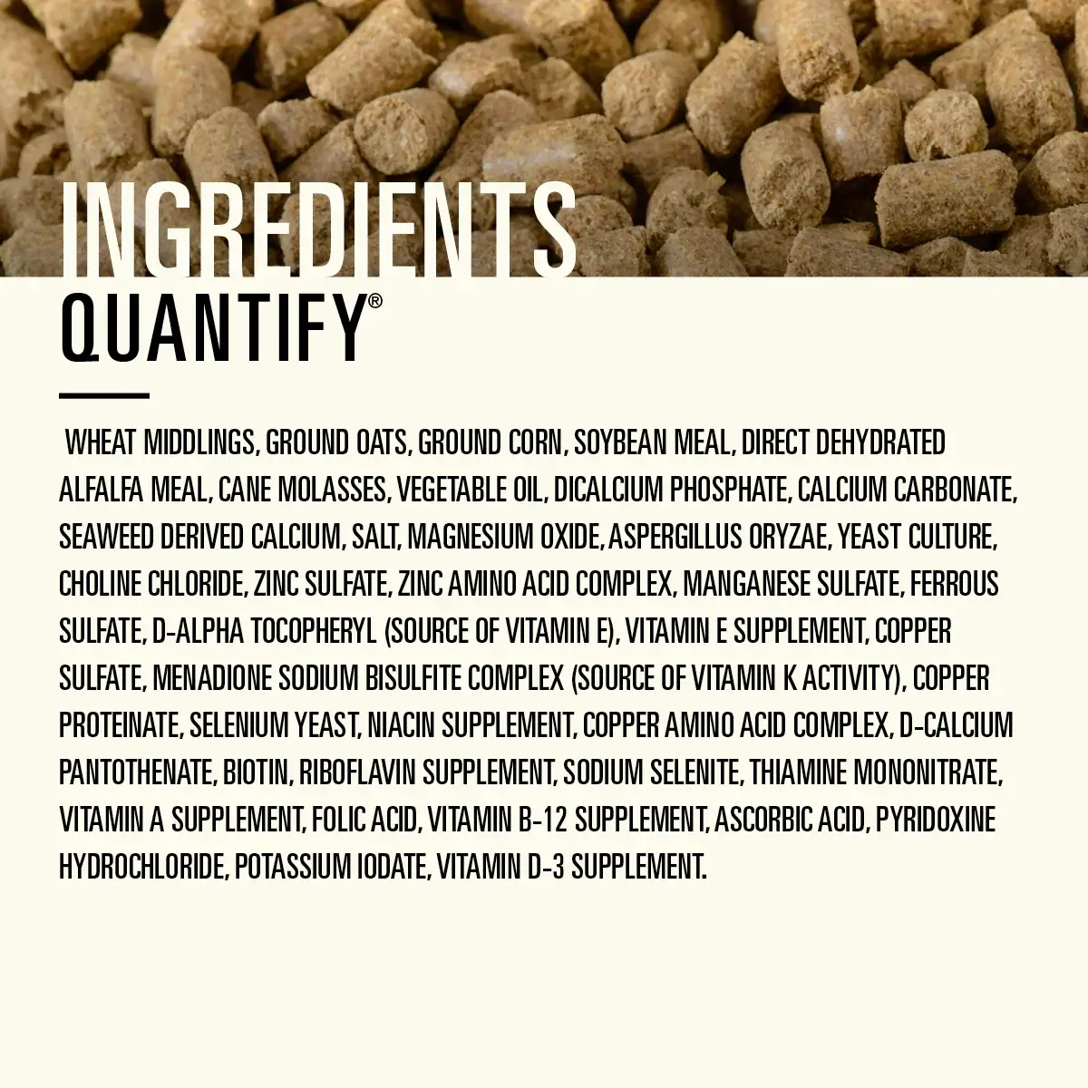 Hallway Feeds Quantify Horse Feed - Image 3