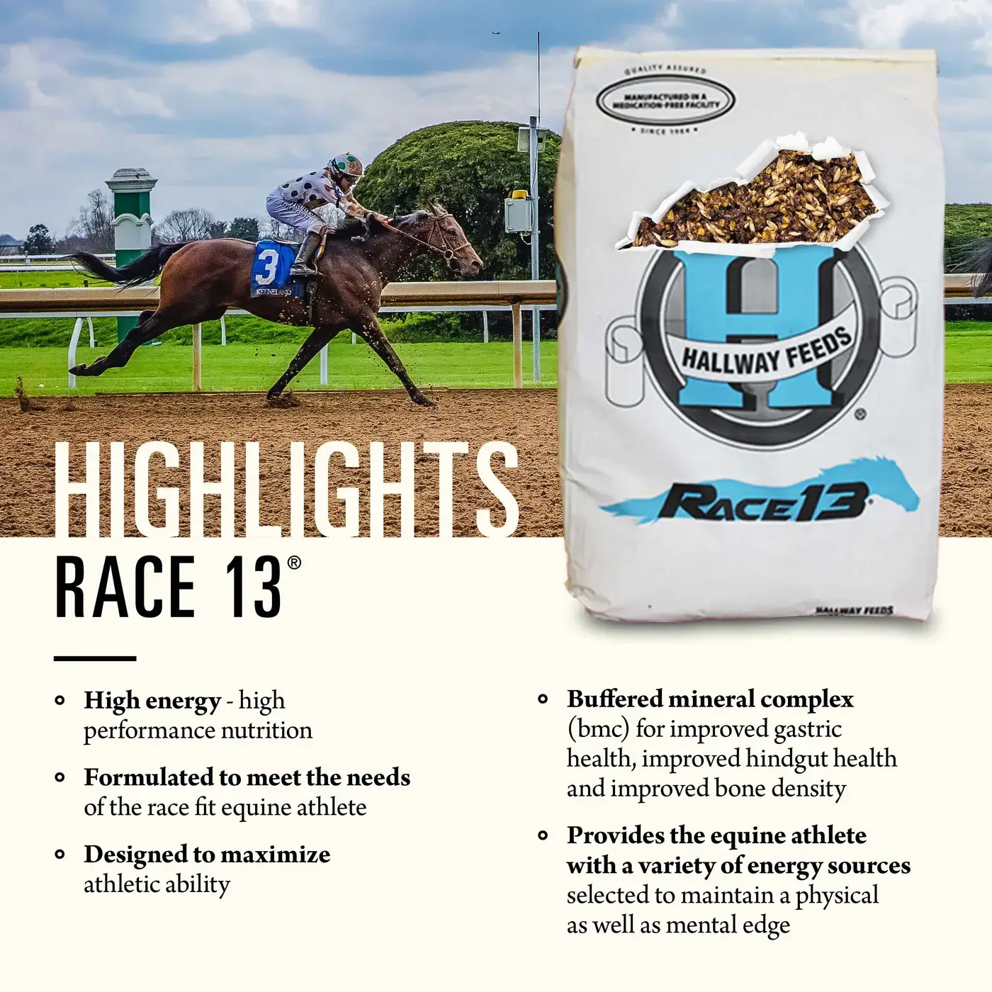 Hallway Feeds Race 13 Horse Feed - Image 2