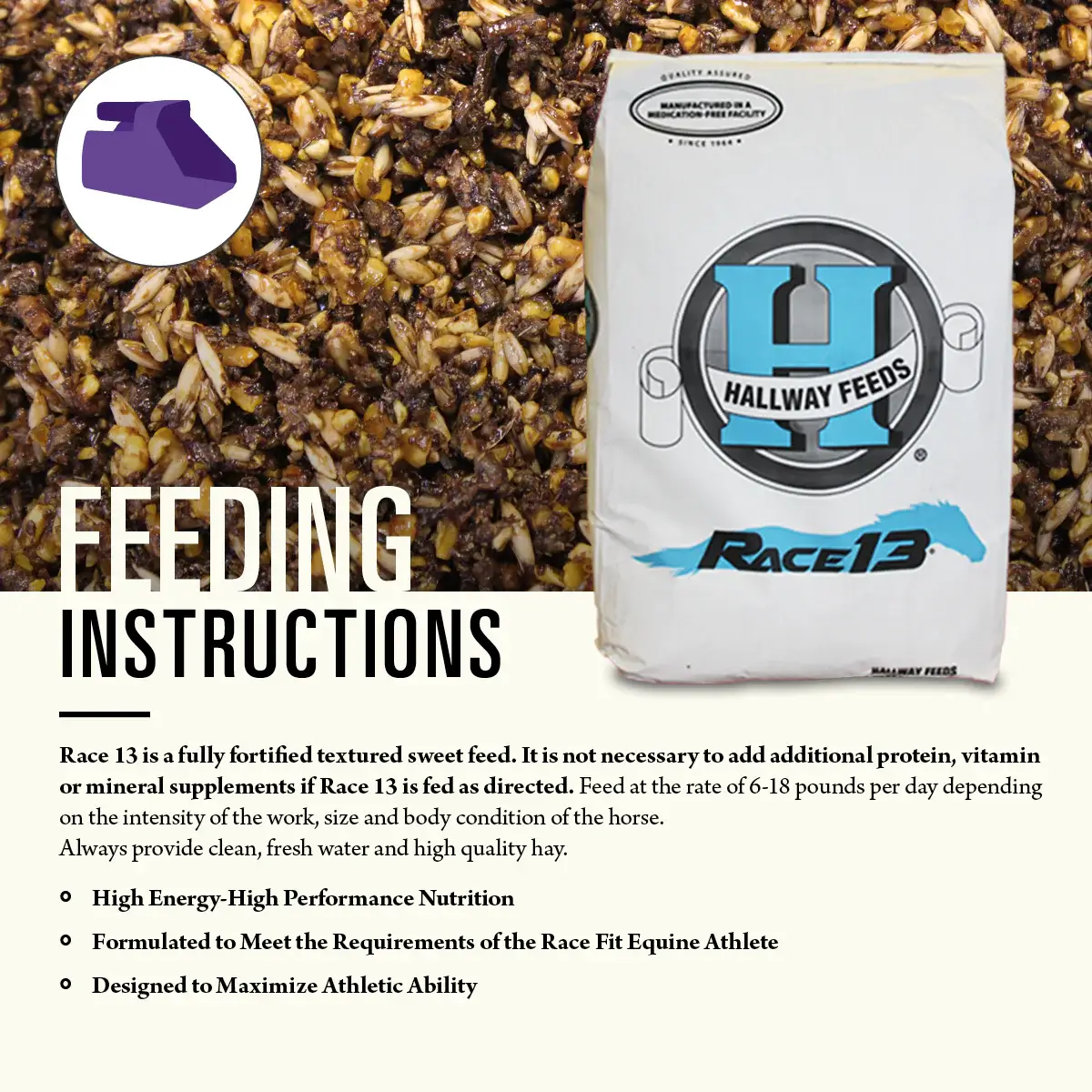 Hallway Feeds Race 13 Horse Feed - Image 5