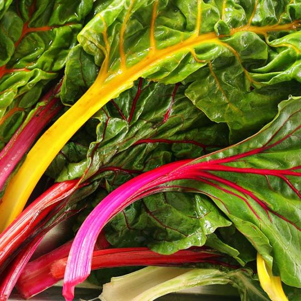 Ruby Red Swiss Chard Vegetable Seed